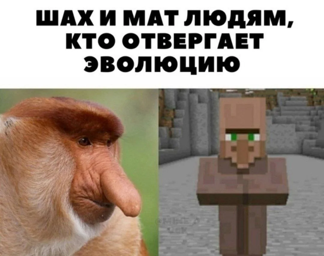 Покажи этот мем своему учителю биологии
