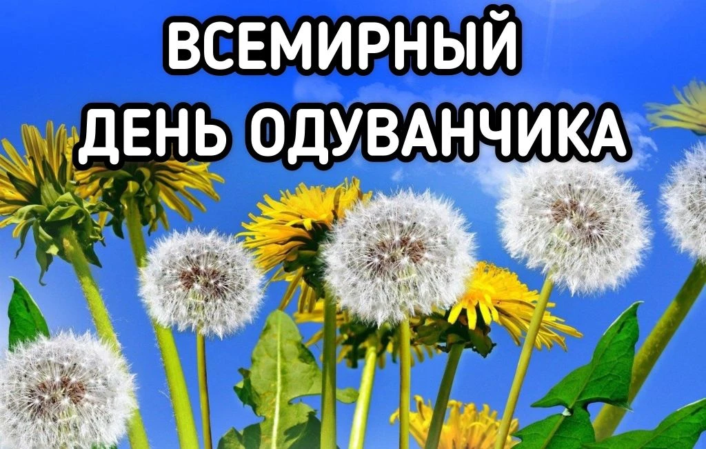 🕵️‍♂️ Миссия: найти солнце в траве! 

В группе «Радуга» развернулось настоящее весеннее расследован