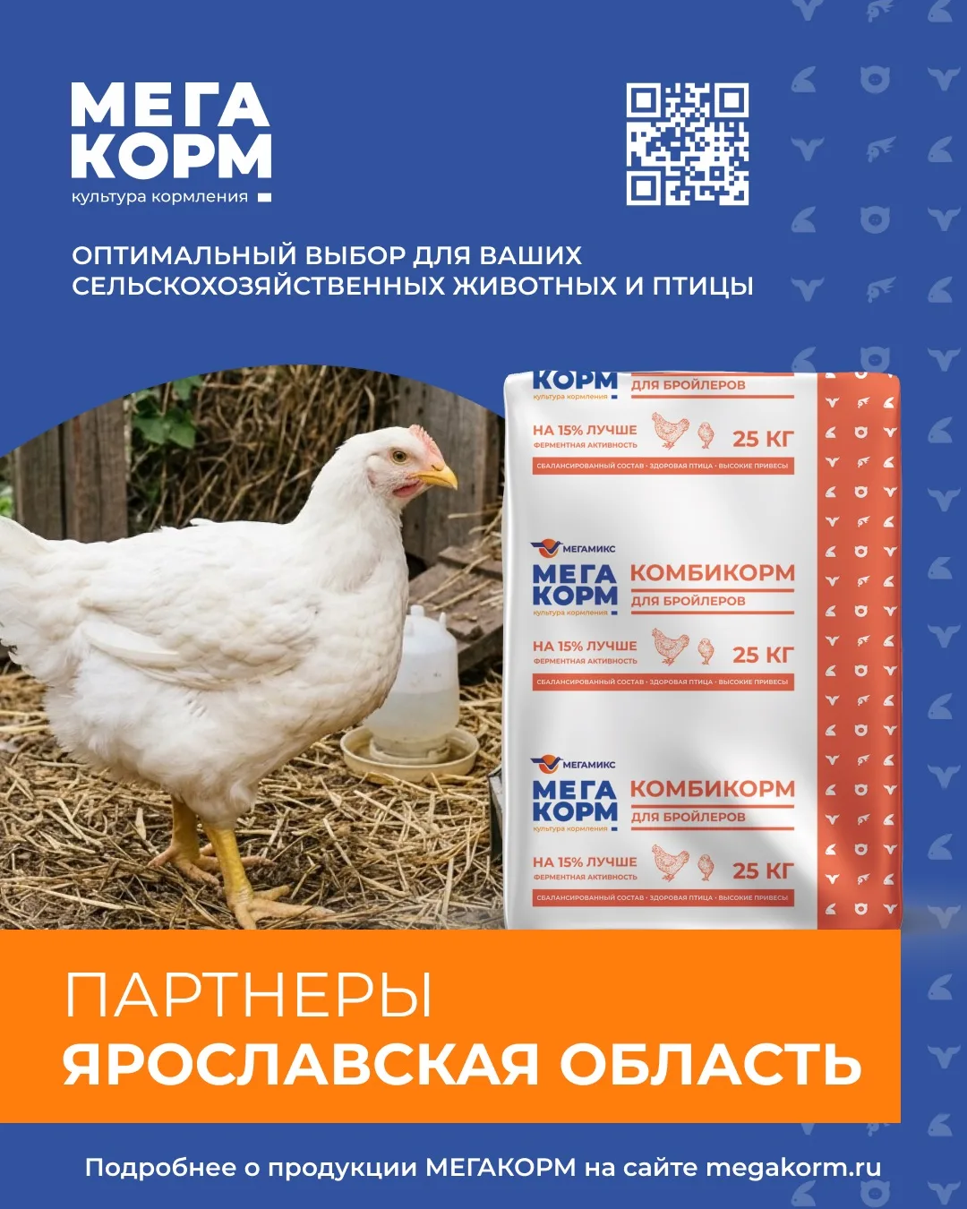 #ГдеКупитьМегакорм в Ярославской области 🐔