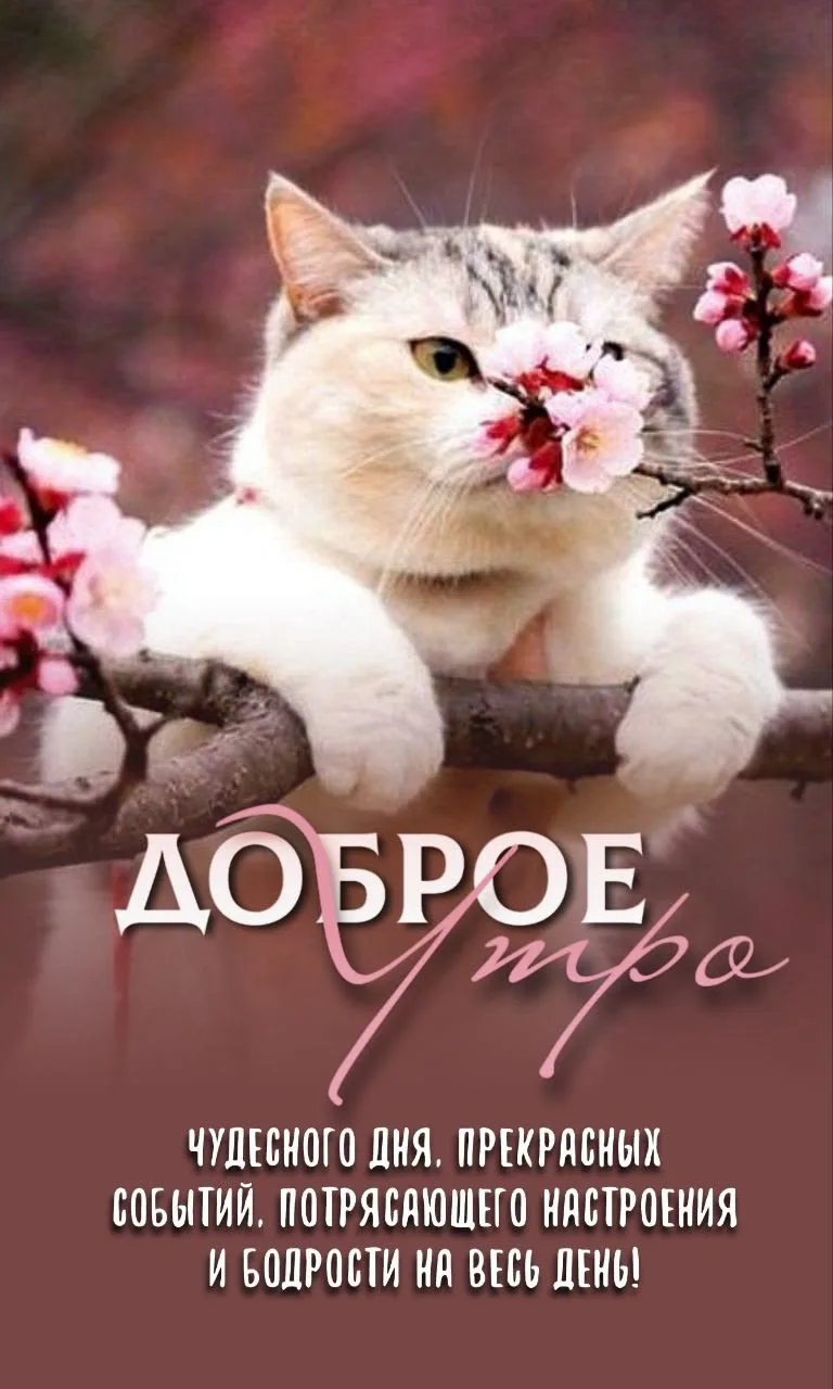 Подпишись 👇