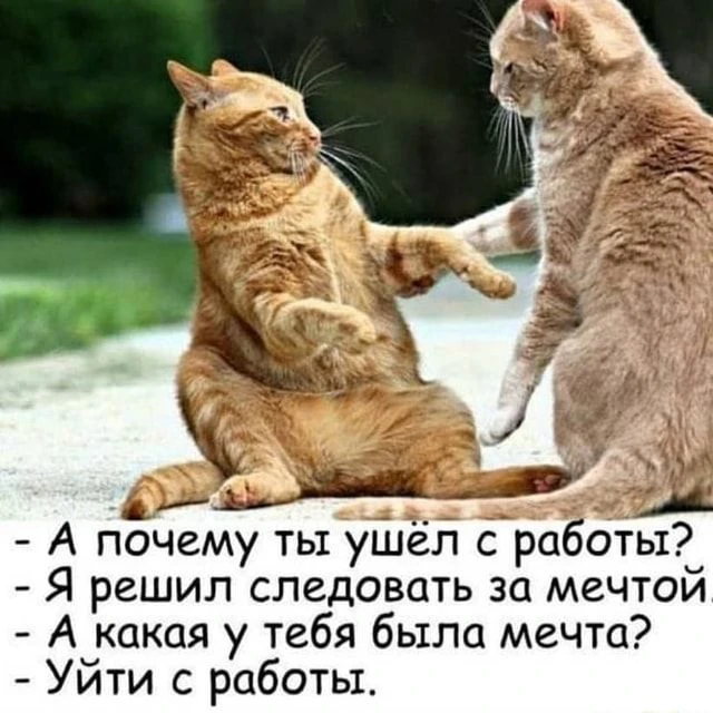 МИР ПОЗИТИВА 🤩 ОТКРЫТКИ!