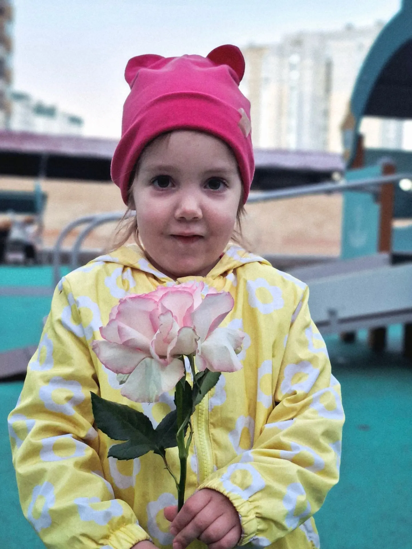 🌷🌷🌷