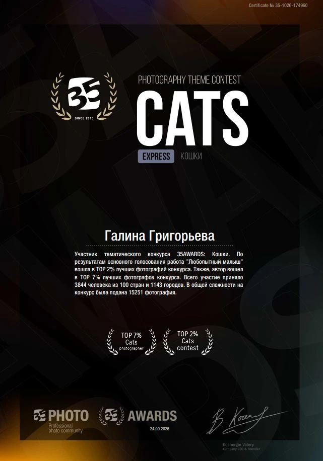 Пришли результаты с тематического конкурса "Кошки".