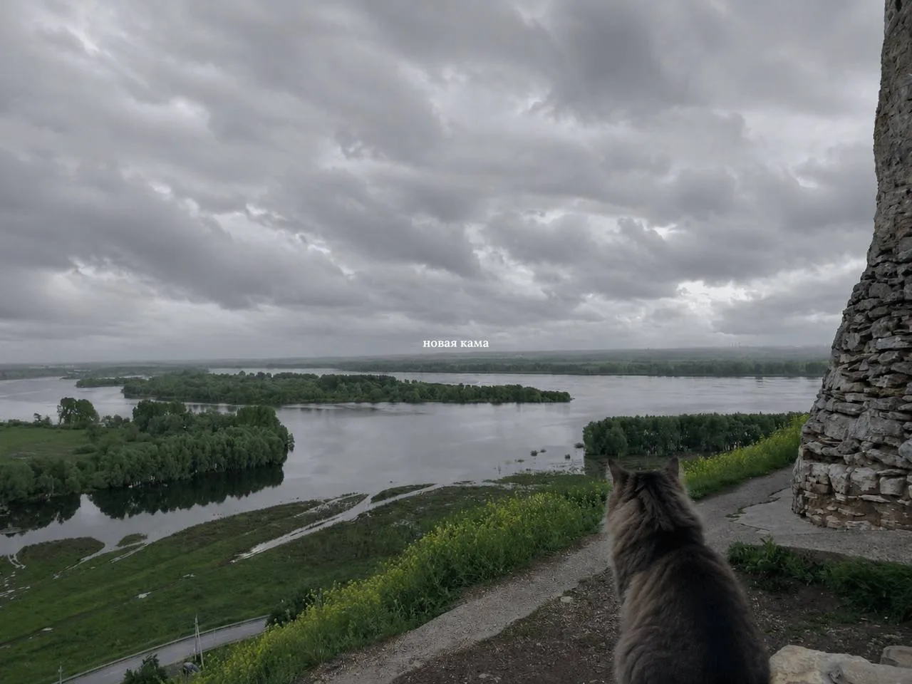 ☁️ Доброе утро, Елабуга!

Новая неделя начинается с пасмурного утра. Сегодня, 22 июня, днём ожидаетс