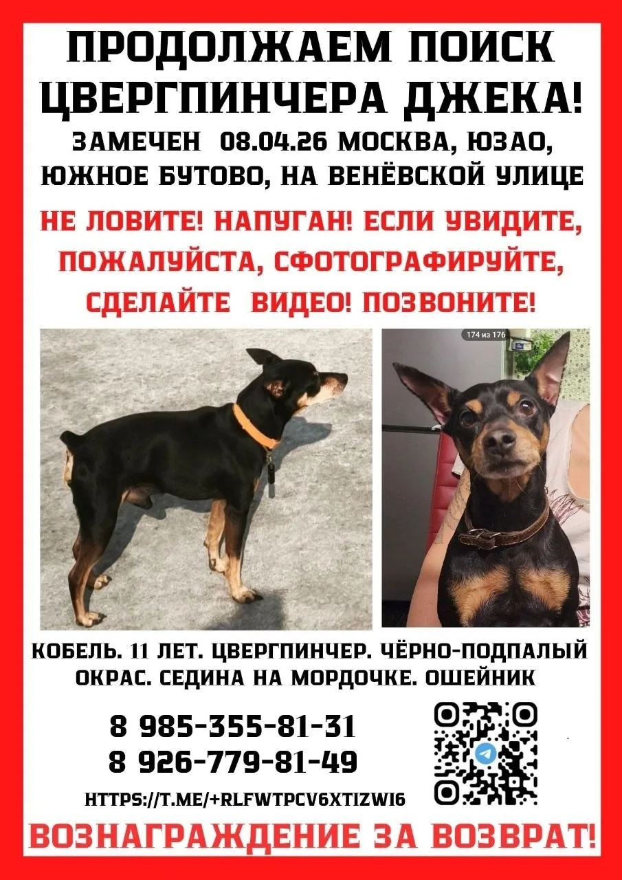 ЮЗАО  Бутово  Был замечен 08.04 в 19-20 ч на Веневской около поликлиники , в течении вечера 4 сигнал