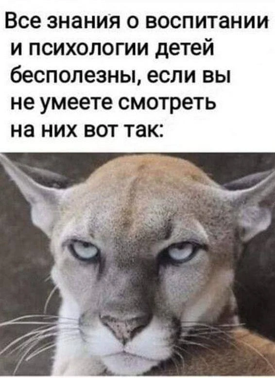 Три Подружки