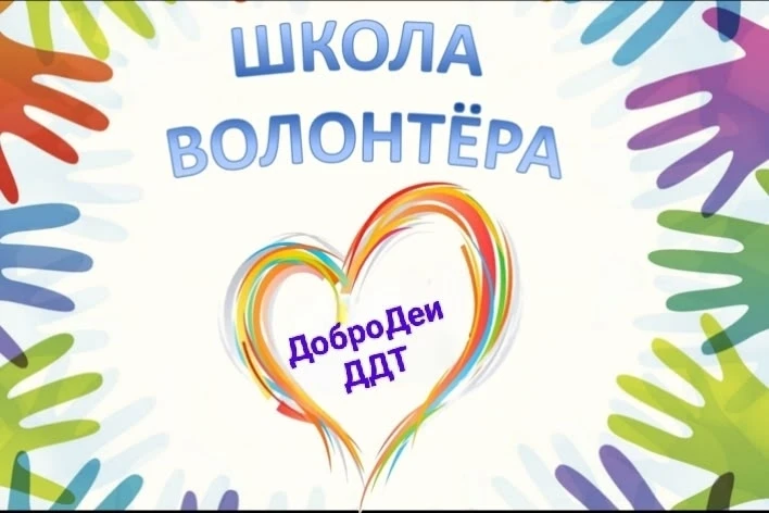 ШКОЛА ВОЛОНТЁРА ДДТ