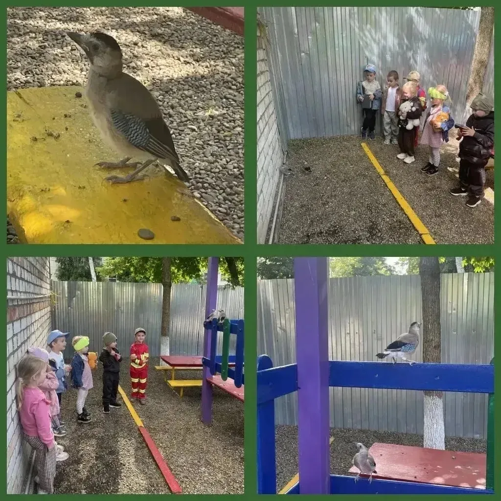 🐦✨ Маленькие исследователи в действии! ✨🐦
Сегодня во второй младшей группе нашего детского сада пр