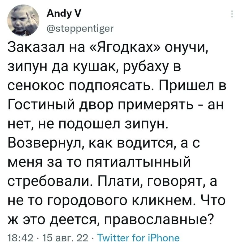 Изображение 1 к публикации «Grammar Nation»