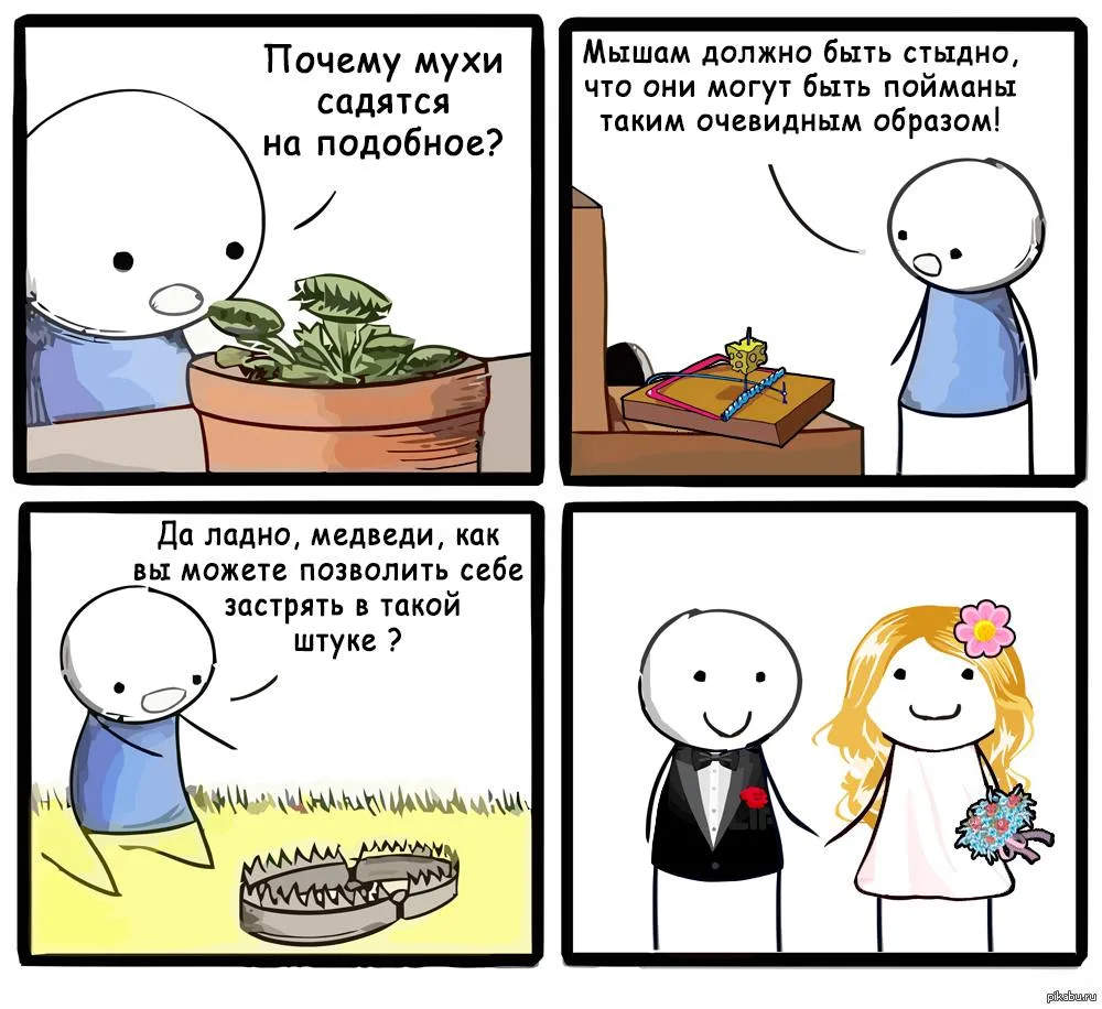 Изображение 1 к публикации «Mash»