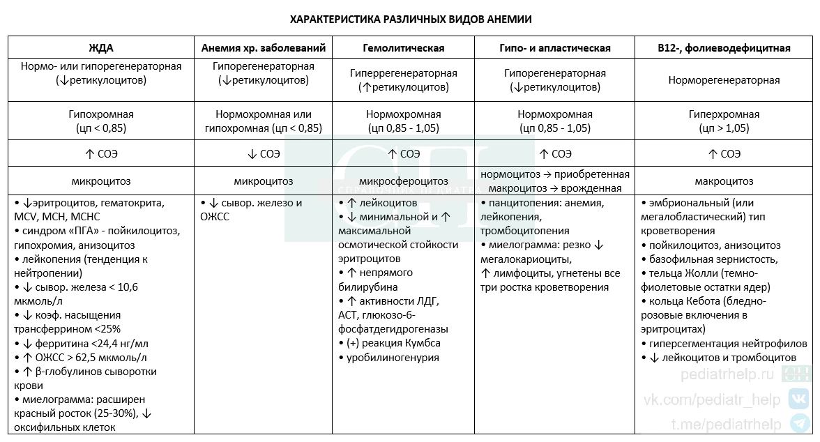 Характеристика различных видов анемий  max.ru/pediatrhelp t.me/pediatrhelp vk.com/pediatr_help