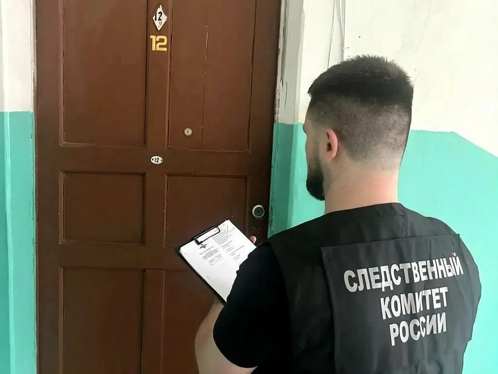 🔪 Тамбовчанка зарезала мужа и отправится в психбольницу