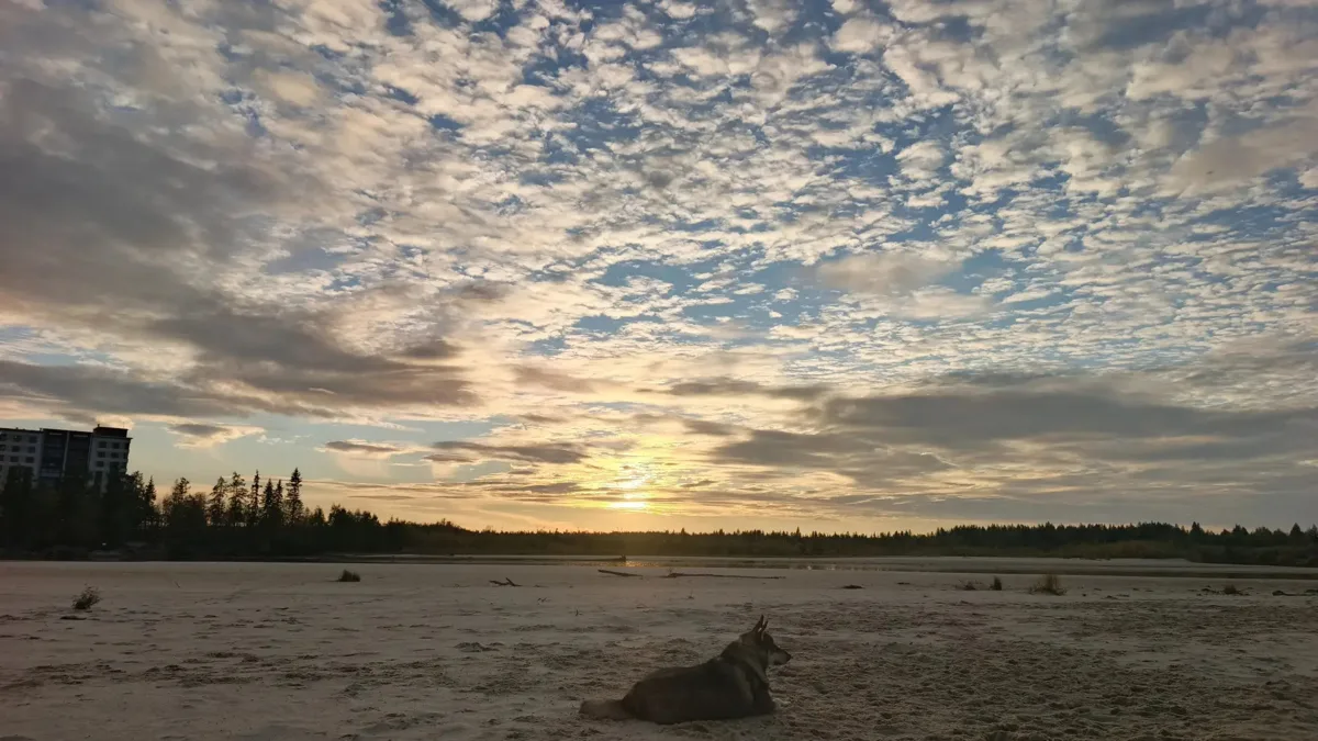 После рабочей недели Север становится особенно красивым 😍