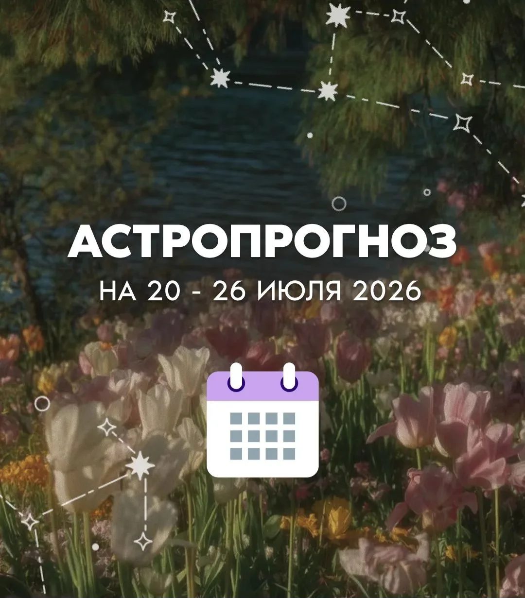Сводка на неделю: