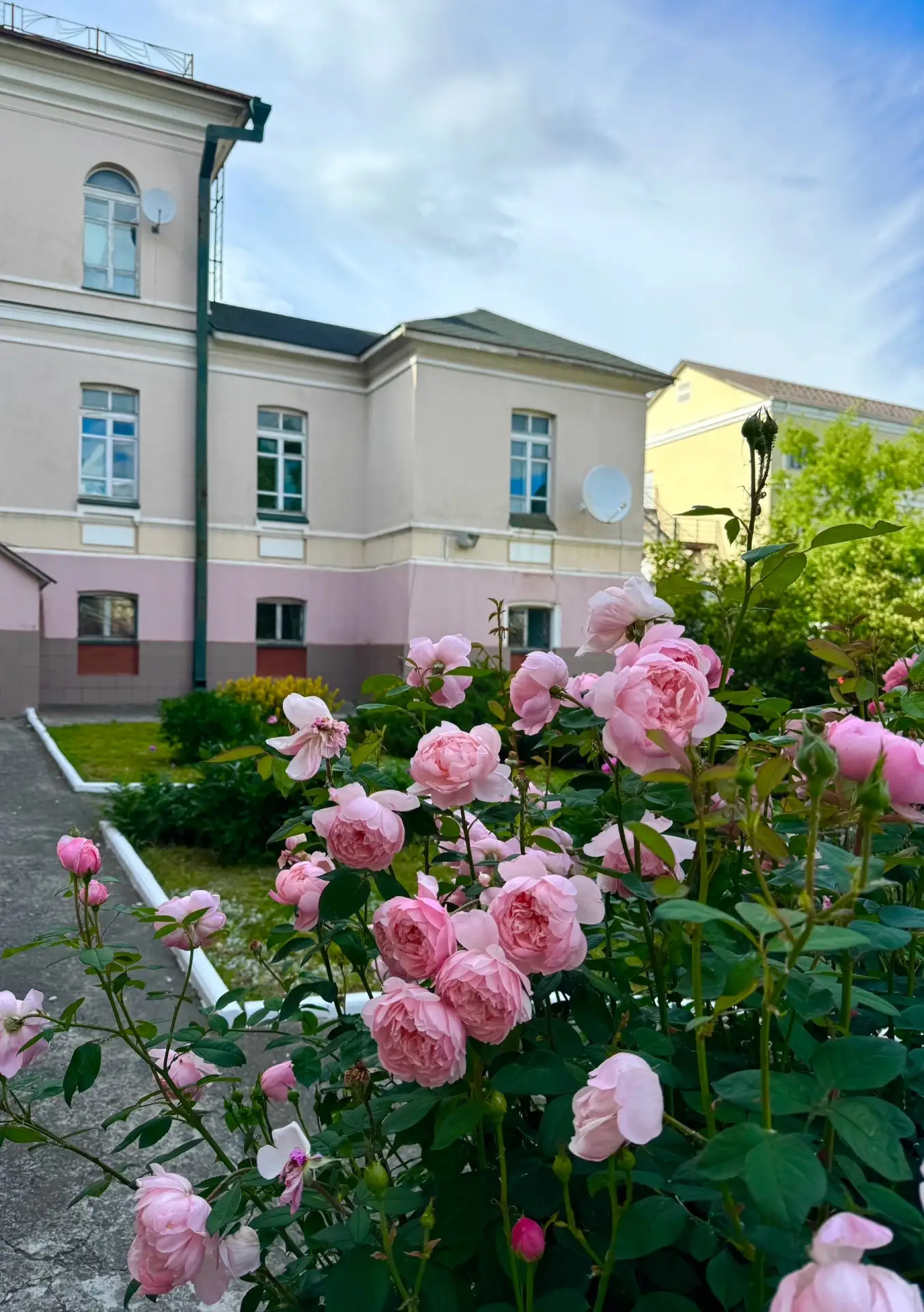Доброе утро 🌸

Уже завтра наш цветущий двор встретит семьи города на Всероссийском фестивале сбереж