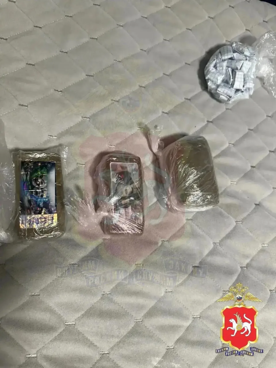 🤯В Казани поймали закладчика с почти полкило наркотиков

Полицейские в Ново-Савиновском районе оста