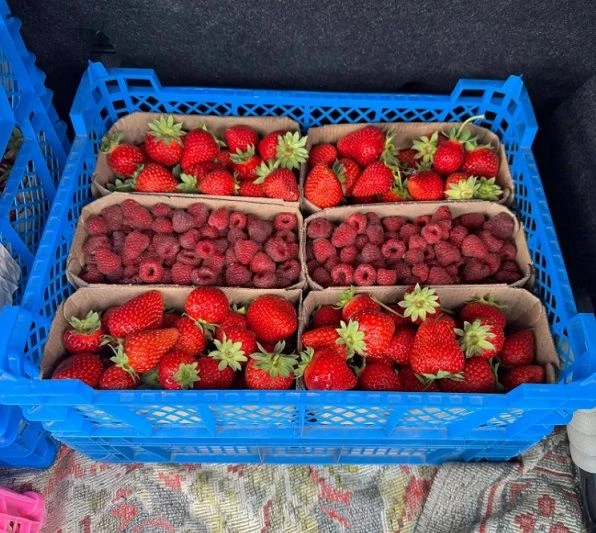 🍓«Душистый Луг» принимает заказы на клубнику и малину (конверсия в органик) в Москву в...