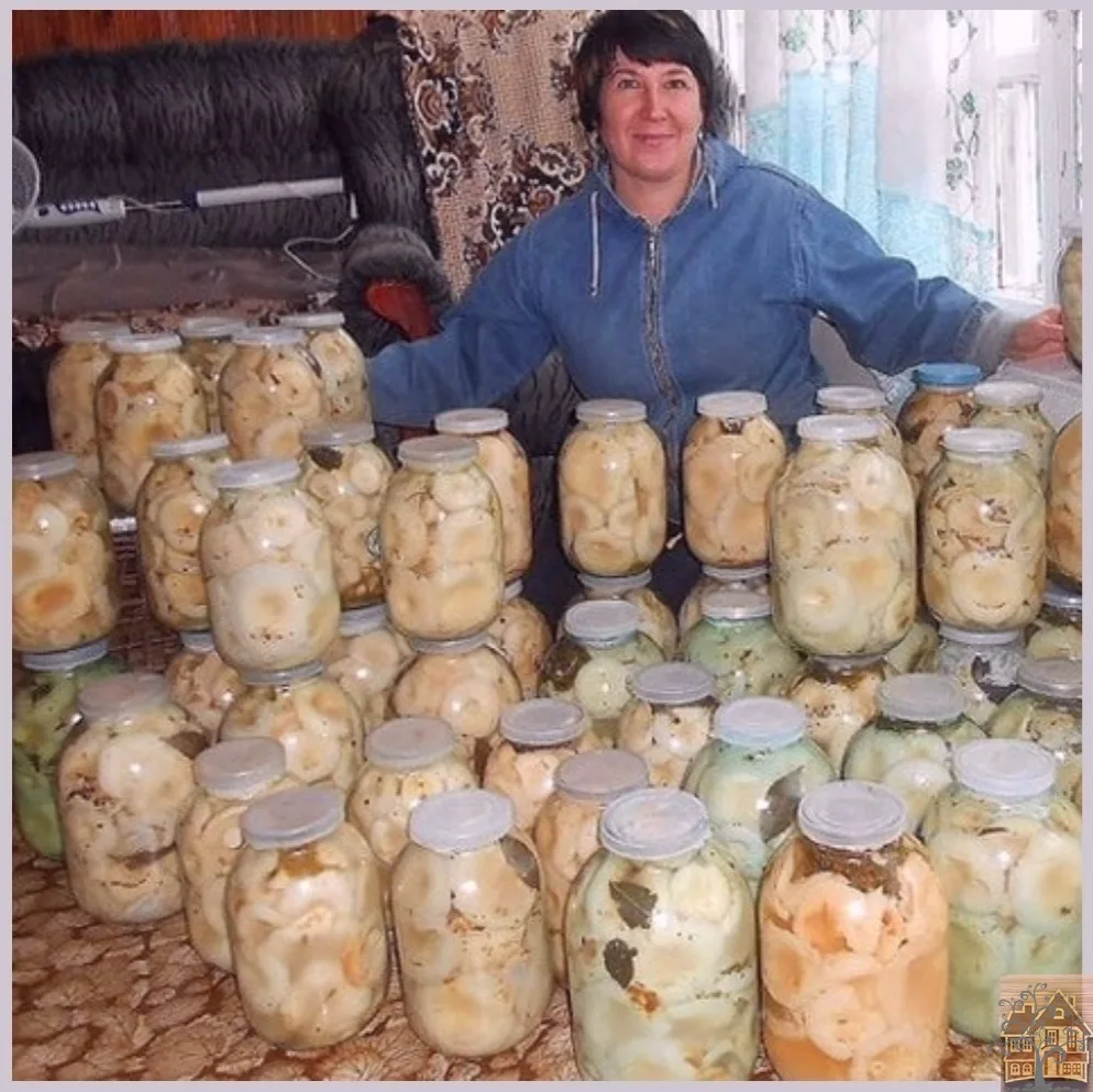 Вот не понимаю...откуда у меня настолько большая любовь к грибам, а особенно к груздям!...