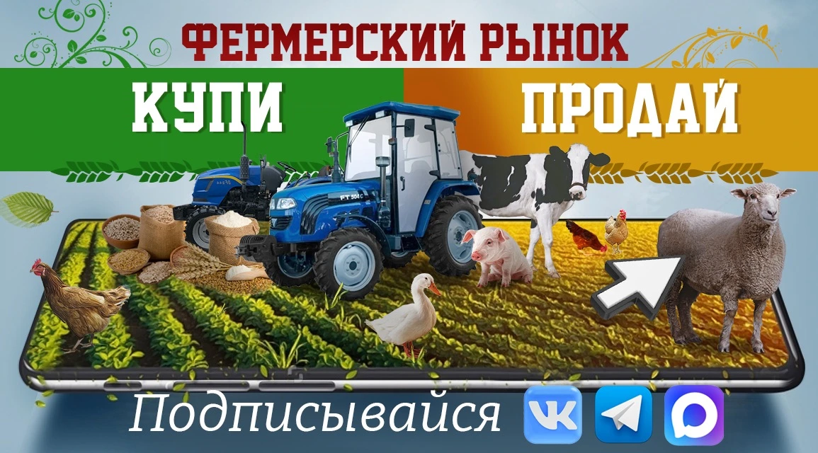 Фермерский рынок ДНР ЛНР сельхоз объявления! Удобный способ купить или продать что-либо...