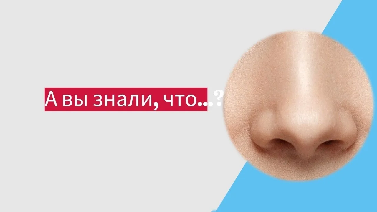 А вы знали, что у большинства людей одна ноздря дышит активнее другой, и эта «рабочая» ноздря меняет