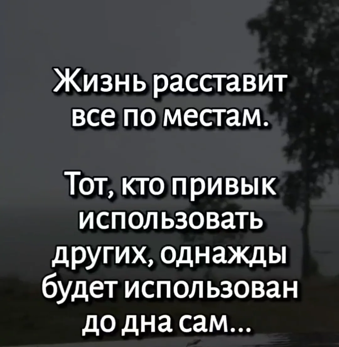 Цитаты🙂