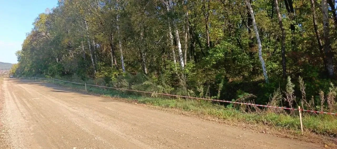 ⚠️ ВНИМАНИЕ, ВОДИТЕЛИ!