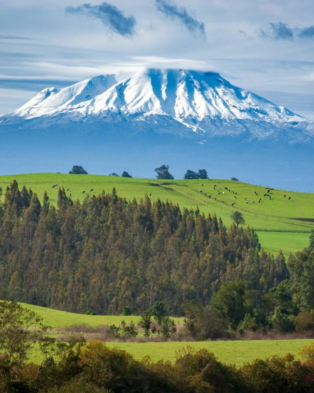 Вулкан Кальбуко в Чили 🇨🇱