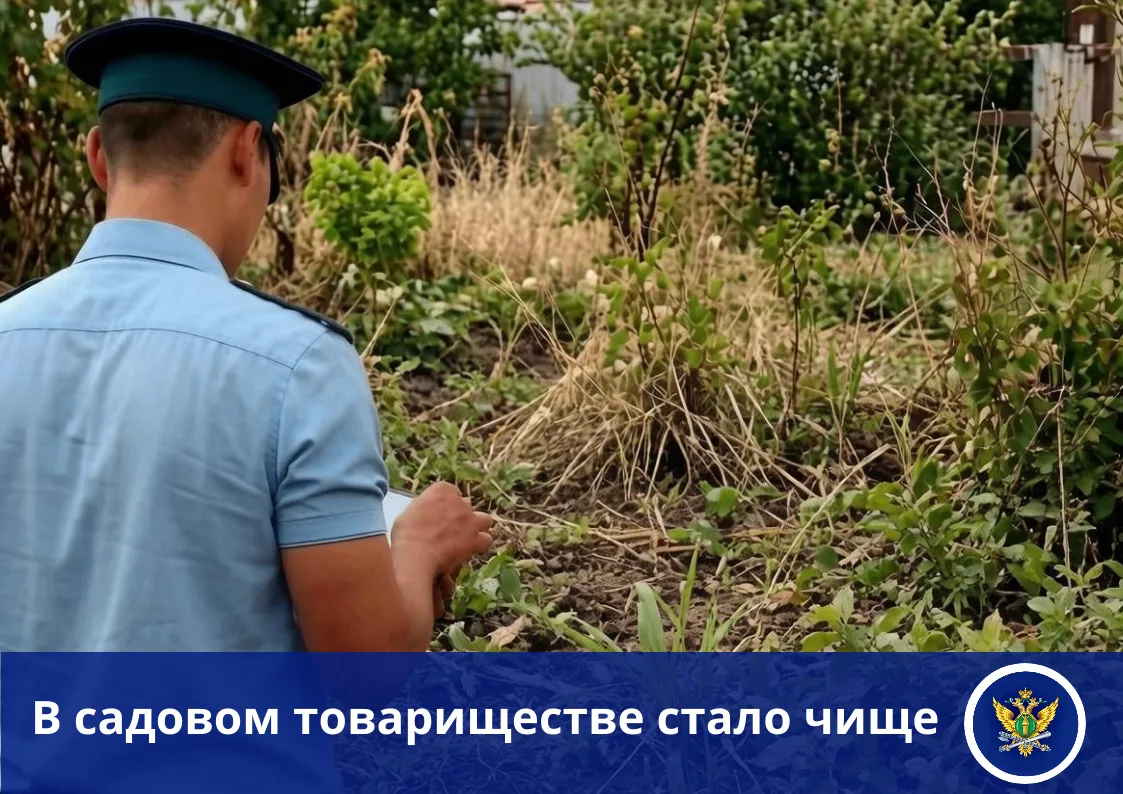 ✅ Житель города Магнитогорска Челябинской области освободил земельный участок в СНТ от ...
