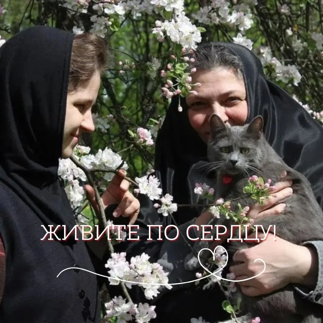 Не падайте духом, дорогие мои, и не унывайте! Всему надлежит быть.

Счастлив человек, терпеливо пере