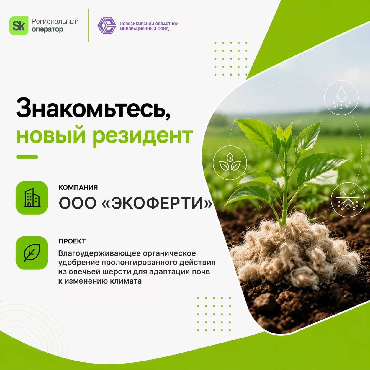🐑 Овечья шерсть: когда «натуральное» работает лучше химии.

Засухи, деградация почв, снижение урожа
