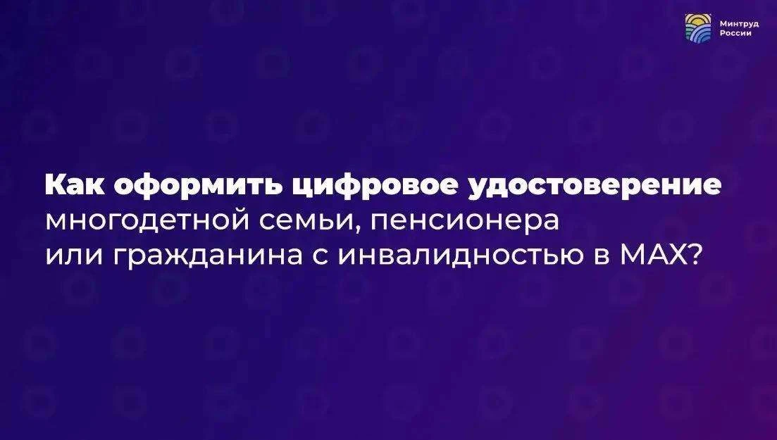 Подтвердить льготы многодетной семьи можно через приложение МАХ