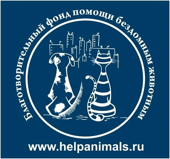 ❤️ Благодарим всех участников традиционной школьной благотворительной акции "Помоги четвероногому др