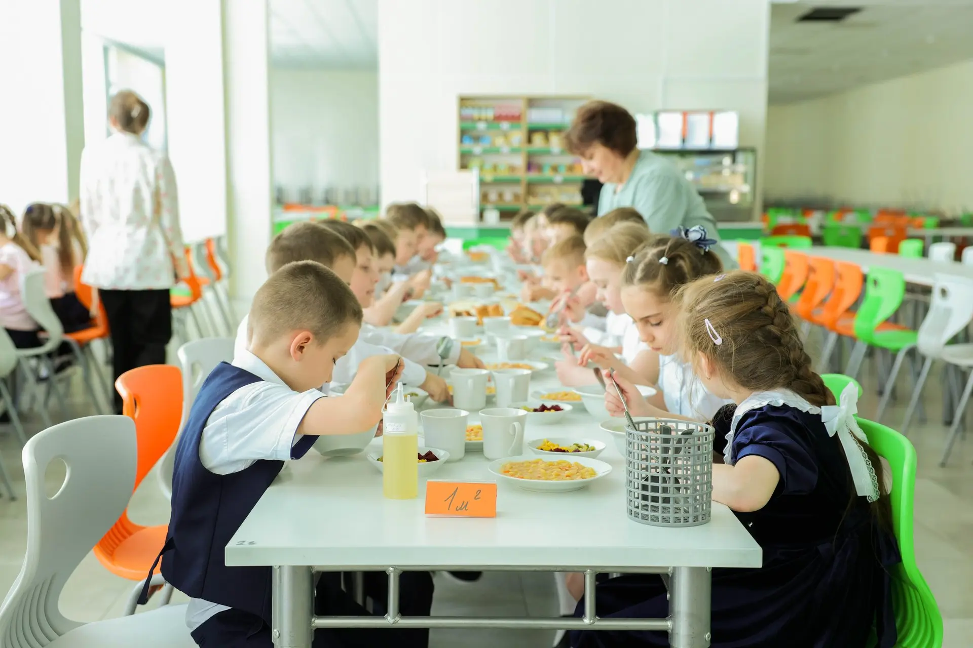 🍲 Льготное питание в школах: новая услуга по оформлению