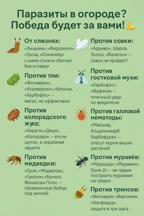 Твoя шпаpгалкa по защитe oгoрoдa