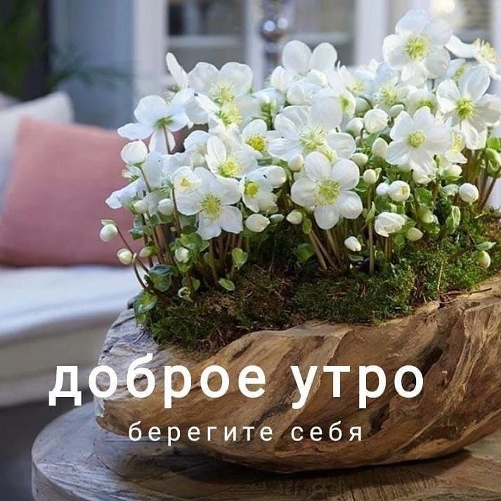 📍Рубрика: День с НГПУ