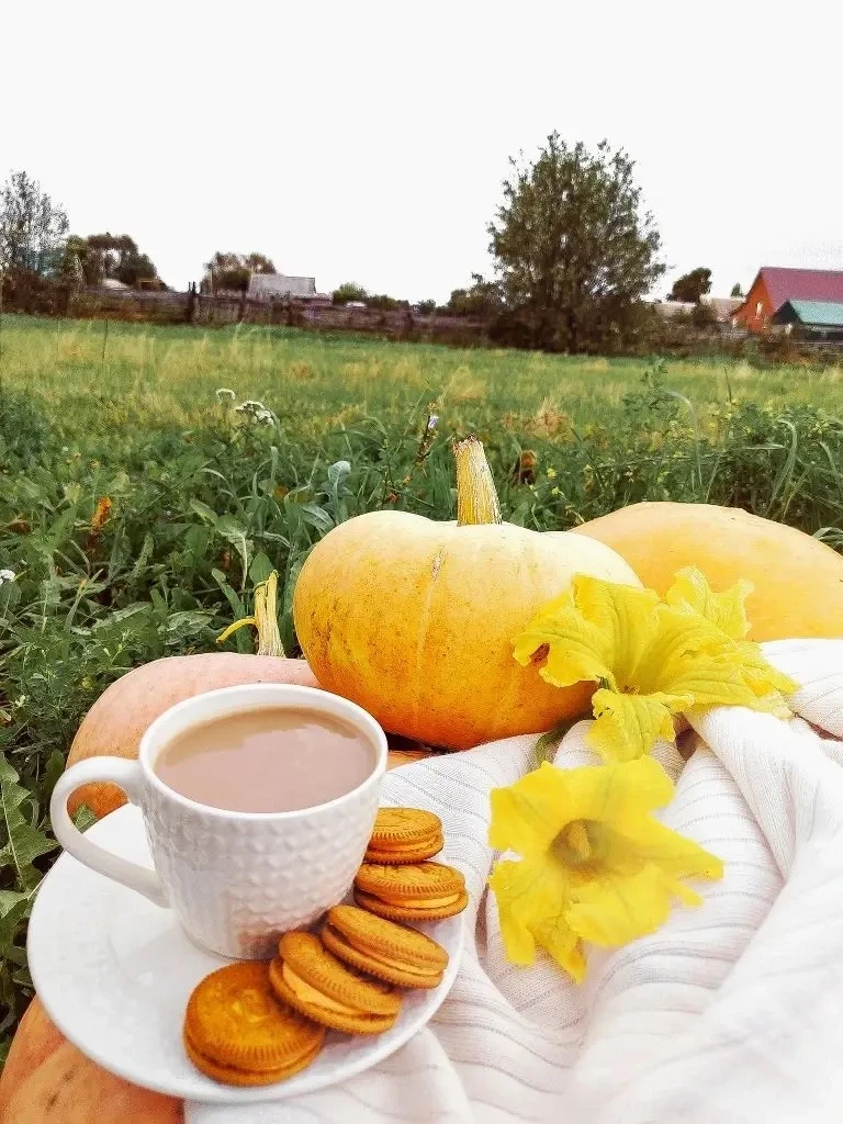 ☕️Доброе утро, друзья!