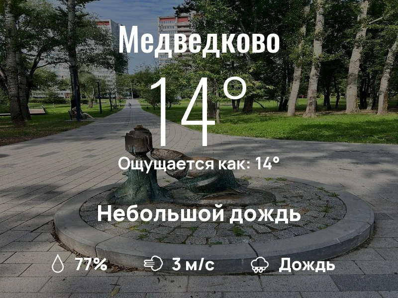 Что с погодой в Медведково?