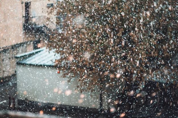 ❄️ Мокрый снег с дождём ожидается в Пензе и области на этой неделе