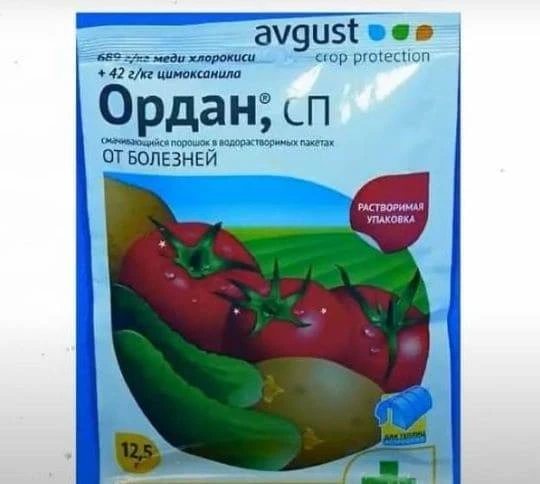Фунгицид Ордан от болезней томатов, огурцов, картофеля как развести, когда и как применять пошагово 