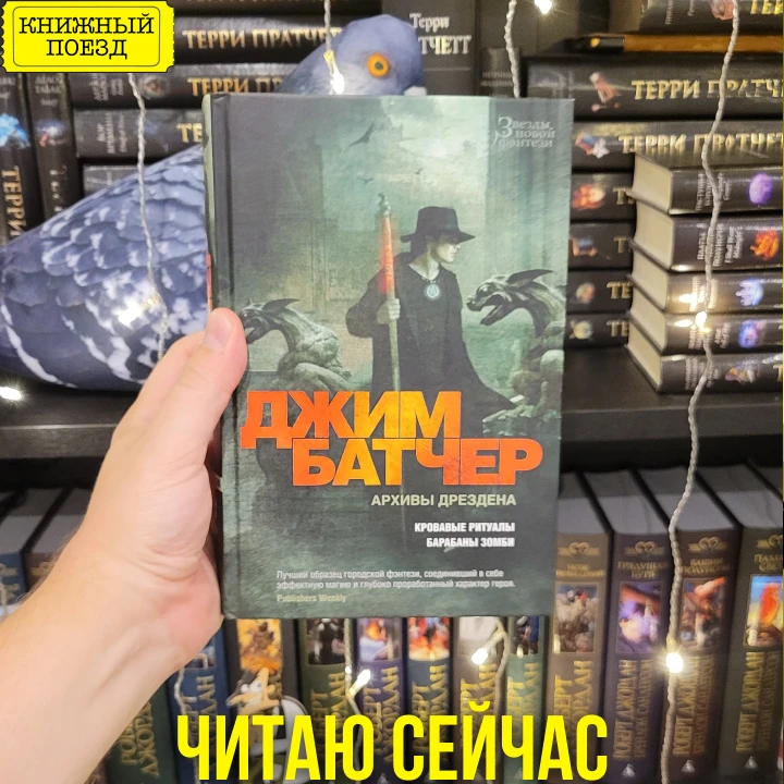 Помните, я жаловался, что Гарри Дрезден по части женщин — подросток в теле мужчины?