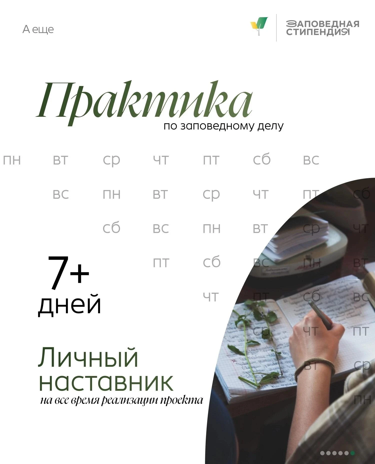 Студент, получи стипендию Президентского фонда природы