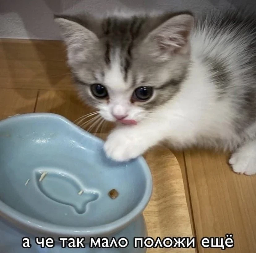 Девчачьи мемы 👑