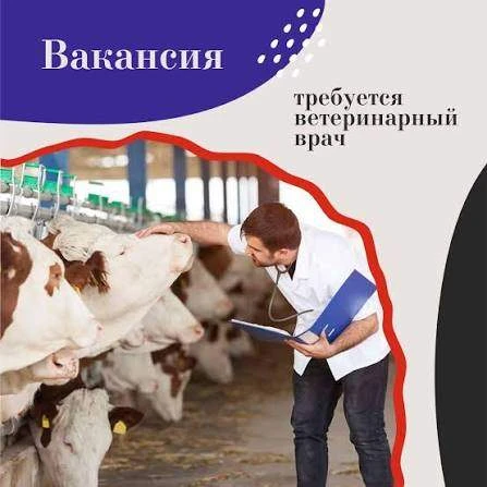❗️Внимание вакансия!!!                                                                 ...