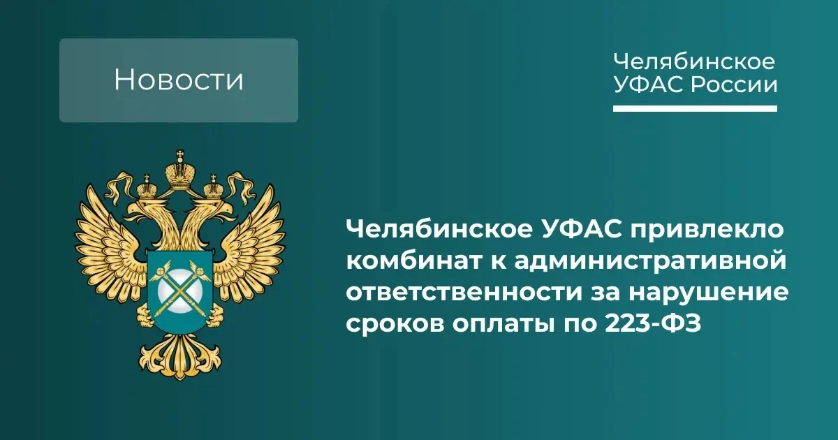 «ЧЭМК» нарушило сроки оплаты при исполнении договора с МСП.📝