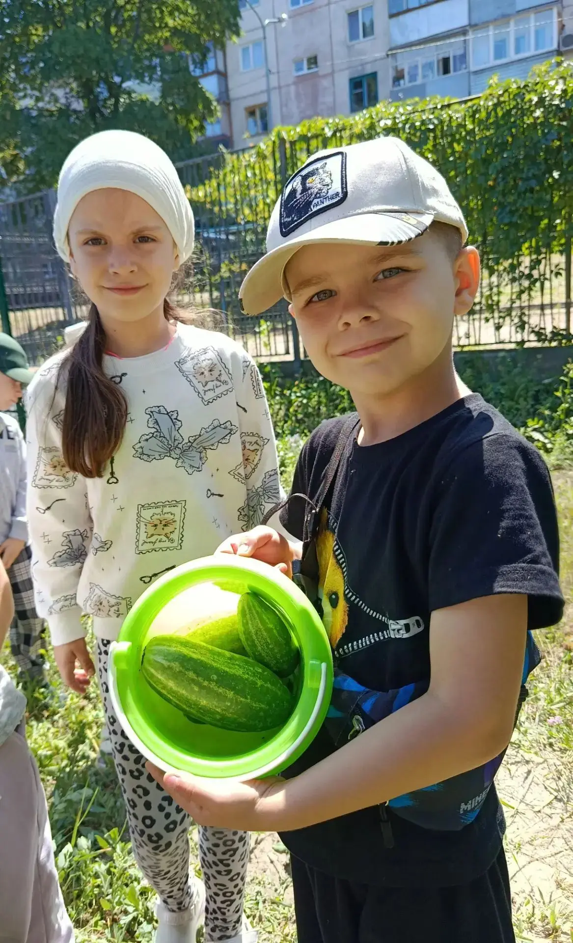 🥒🥒🥒
Мы идём на огород 
Урожай нас щедрый ждёт.
Воспитанники старшей группы "Ромашка" собрали сего
