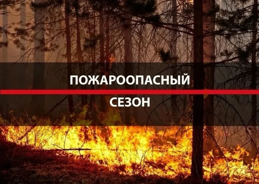Уважаемые жители Читинского муниципального округа!