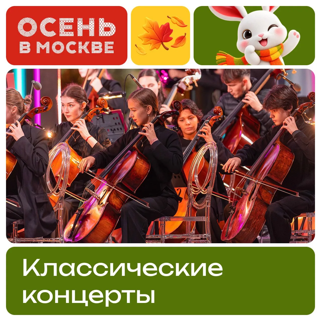 🤹‍♀️ Если душа просит прекрасного, то приходи на классические концерты. Выбирай, куда ...