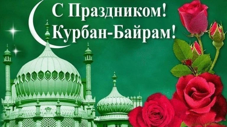 Дорогие друзья!
