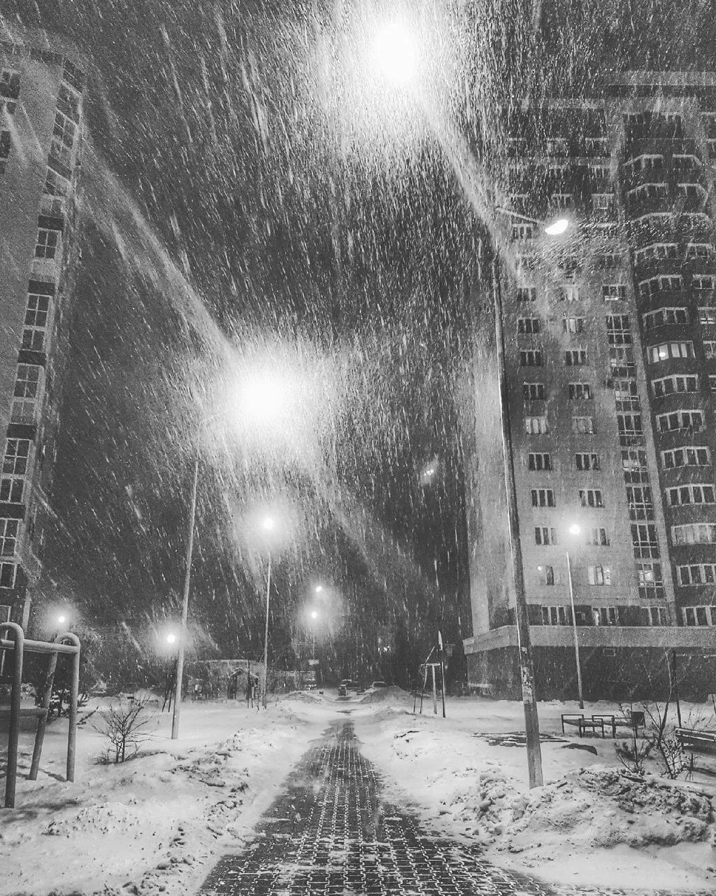 ❄ Аномально тёплая и влажная зима ждёт большинство регионов России