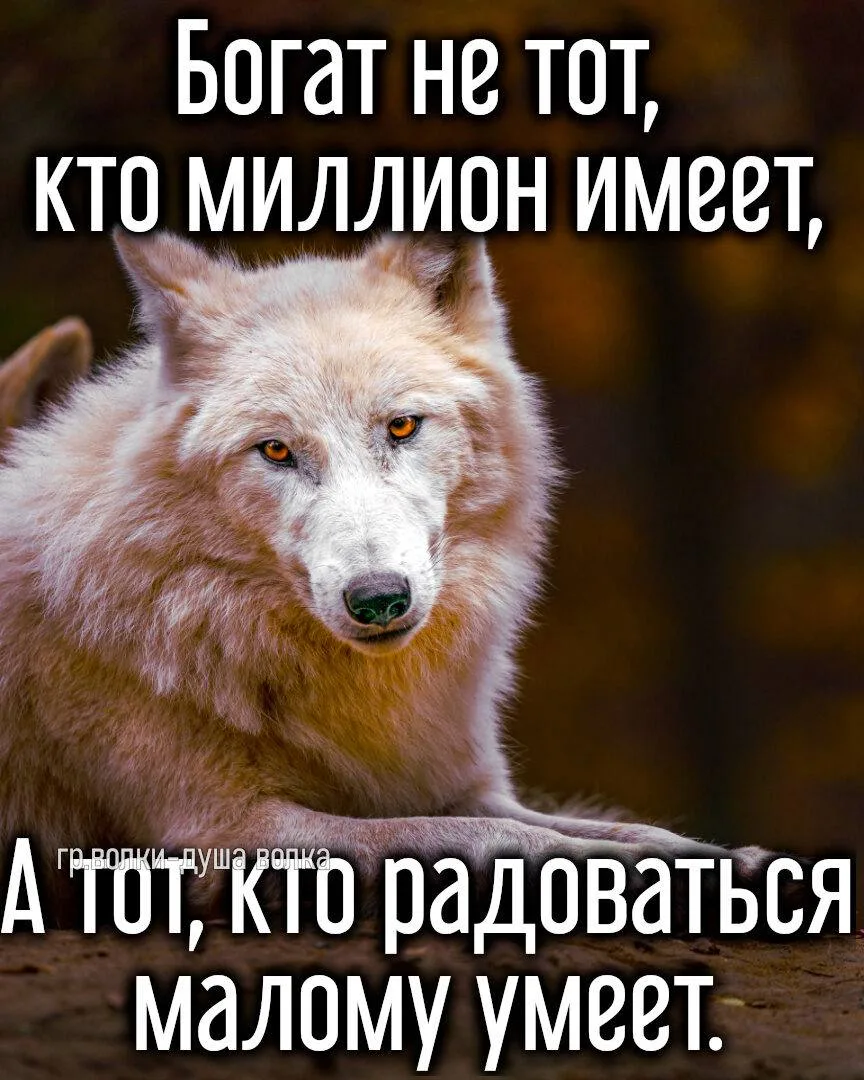 Цените каждый момент..